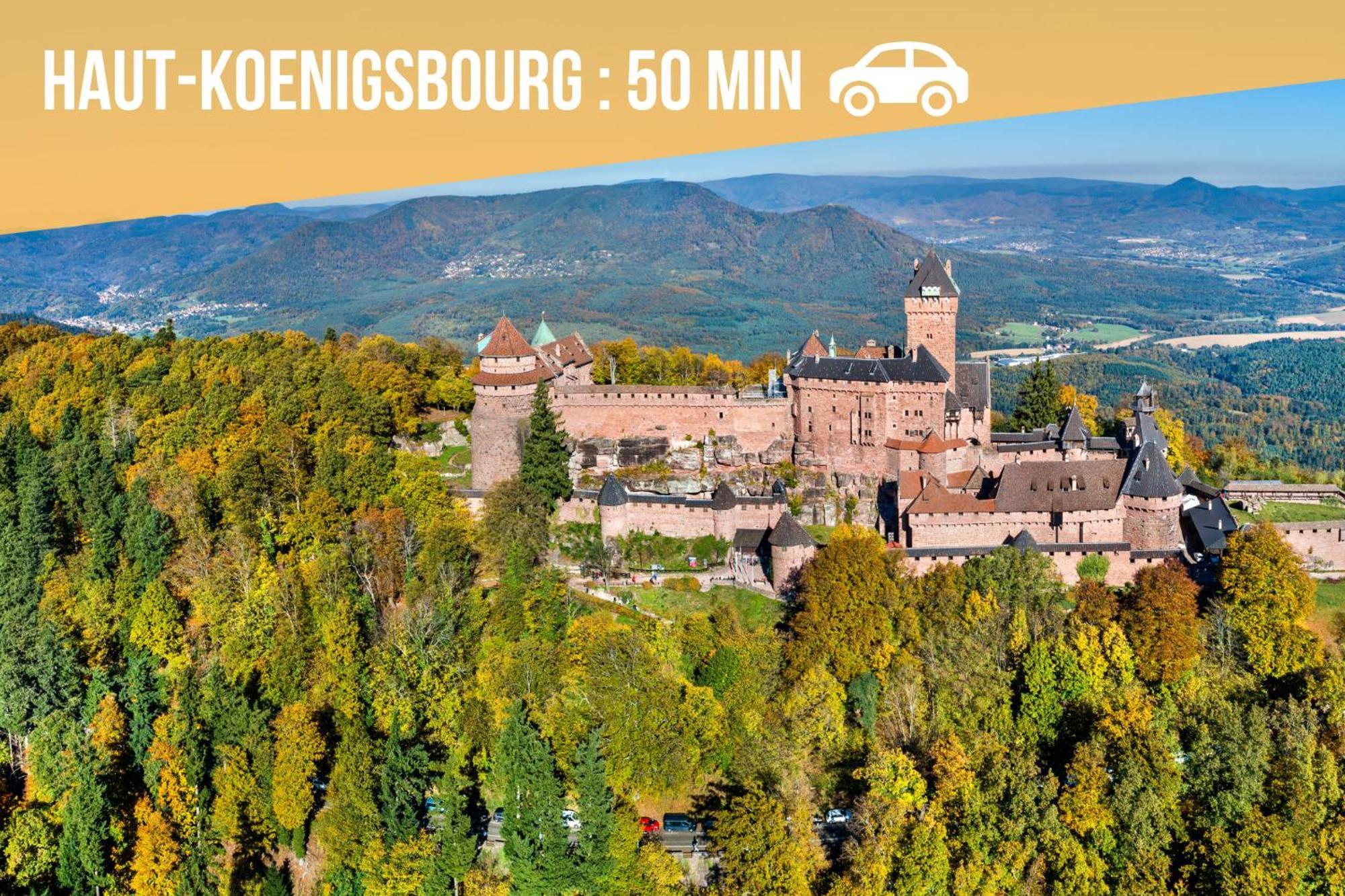 Lit Rond Tres Grand Et Confortable - Garage Possible Ou Parking Gratuit Rue - Gare 2 Min Et 4 Min En Tram - Ciel Etoile - Netflix Videoprojecteur - Luxe Et Evasion Apartamento Estrasburgo